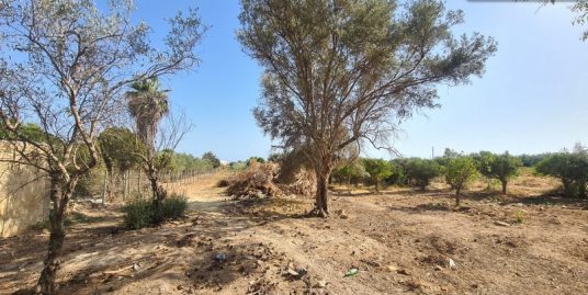 Vendesi terreno agricolo in via Gen. Salvatore Pelligra a Scoglitti