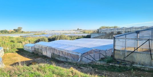Vendesi azienda agricola con casa e deposito a Punta Braccetto