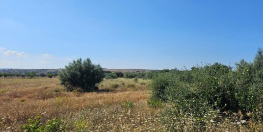Vendesi terreno agricolo in c.da Bonincontro a Vittoria