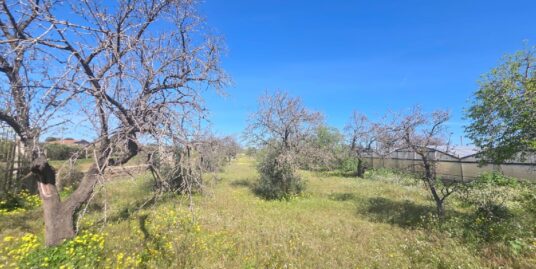 Vendesi terreno agricolo zona Zii Innaro a Vittoria