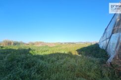 IMG-20250204-WA0012
