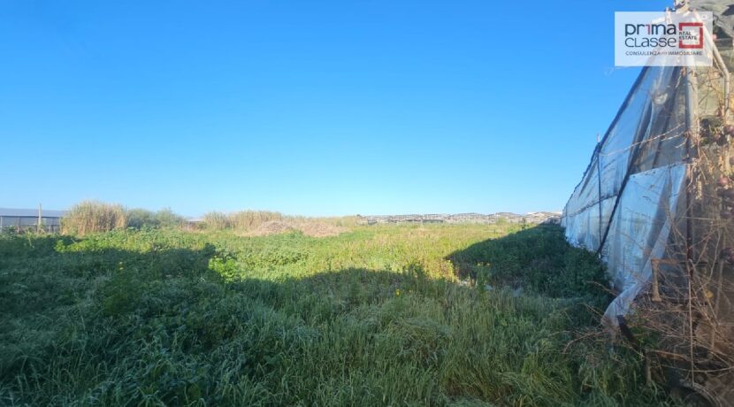 IMG-20250204-WA0012